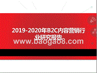 2019-2020年B2C内容营销行业研究报告.pptx