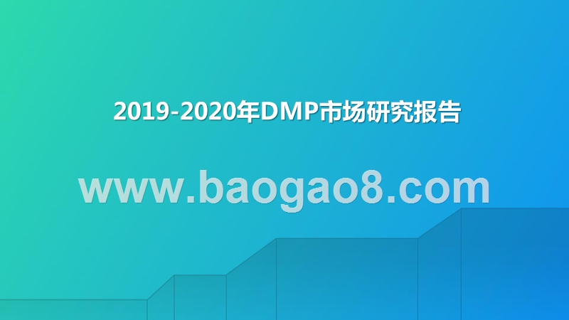 2019-2020年DMP市场研究报告.pptx_第1页