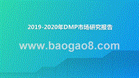 2019-2020年DMP市场研究报告.pptx