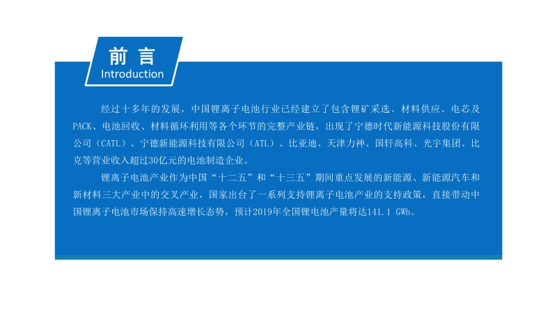 2019年中国锂离子电池行业市场前景研究报告.pdf_第2页