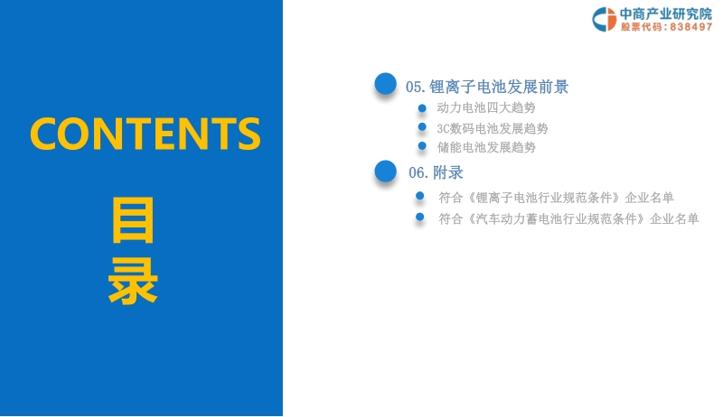 2019年中国锂离子电池行业市场前景研究报告.pdf_第5页