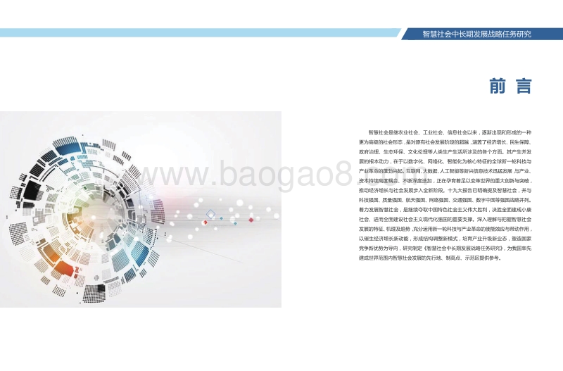 智慧社会中长期发展战略任务研究.pdf_第3页