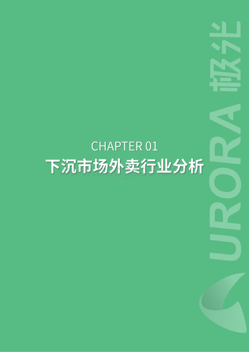外卖行业下沉市场分析报告.pdf_第3页