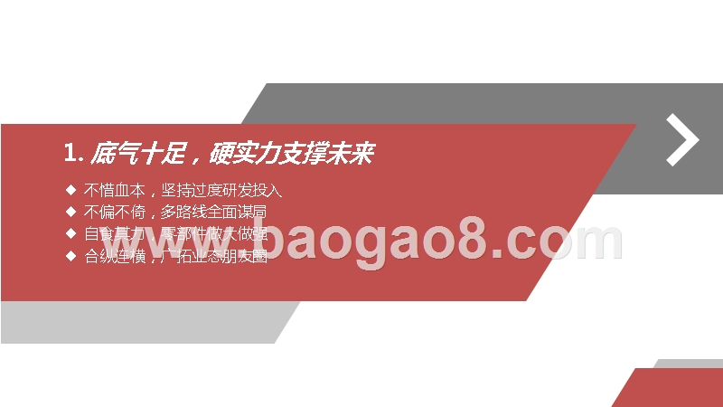 2019-2020汽车行业战略发展分析报告.pptx_第3页