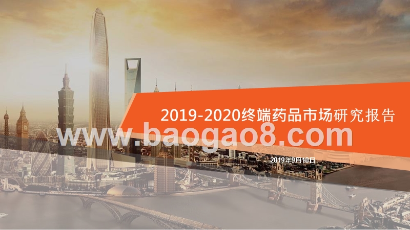 2019-2020终端药品市场研究报告.pptx_第1页