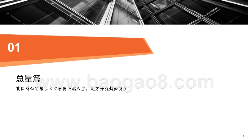 2019-2020终端药品市场研究报告.pptx_第5页