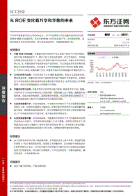 化工行业：从ROE变化看万华和华鲁的未来.pdf
