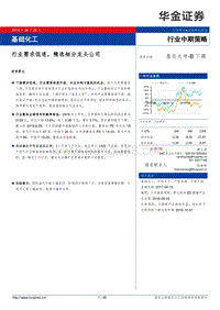 基础化工行业中期策略：行业需求低迷，精选细分龙头公司.pdf
