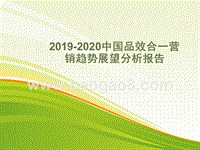 2019-2020中国品效合一营销趋势展望分析报告.pptx