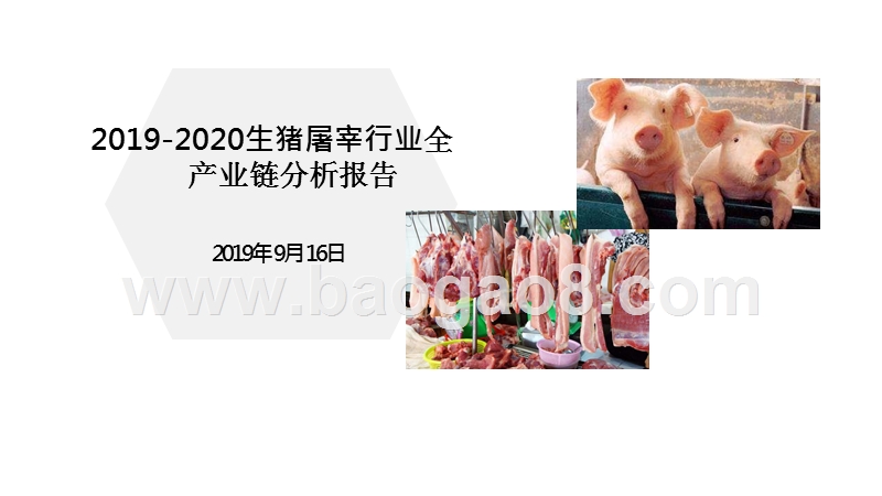 2019-2020生猪屠宰行业全产业链分析报告.pptx_第1页