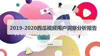 2019-2020西瓜视频用户洞察分析报告.pptx