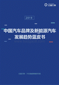 中国汽车品牌及新能源汽车发展趋势蓝皮书.pdf