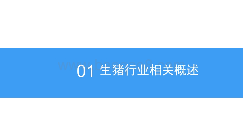 2018年猪肉行业市场现状及发展前景研究报告.pdf_第5页