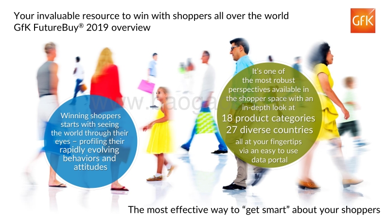 2019年美国营销洞察报告.pdf_第2页