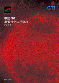 中国5G：典型行业应用分析.pdf