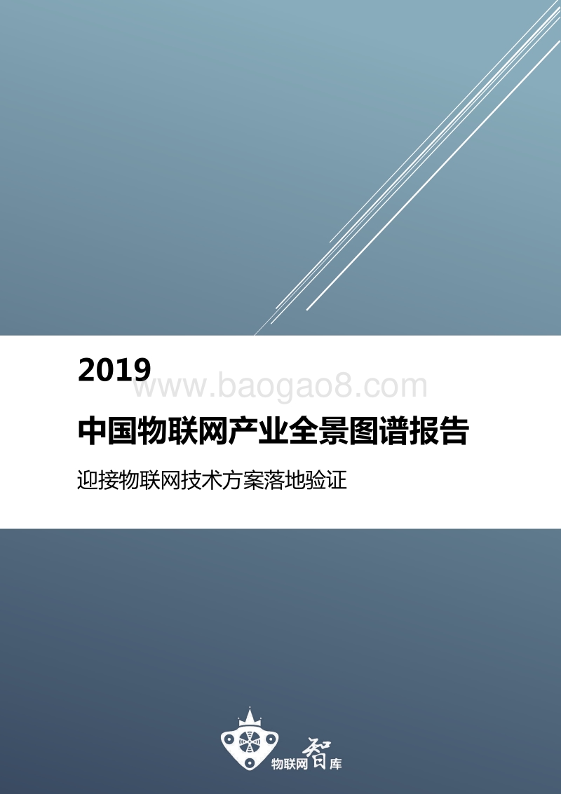2019中国物联网产业完整图谱.pdf_第1页