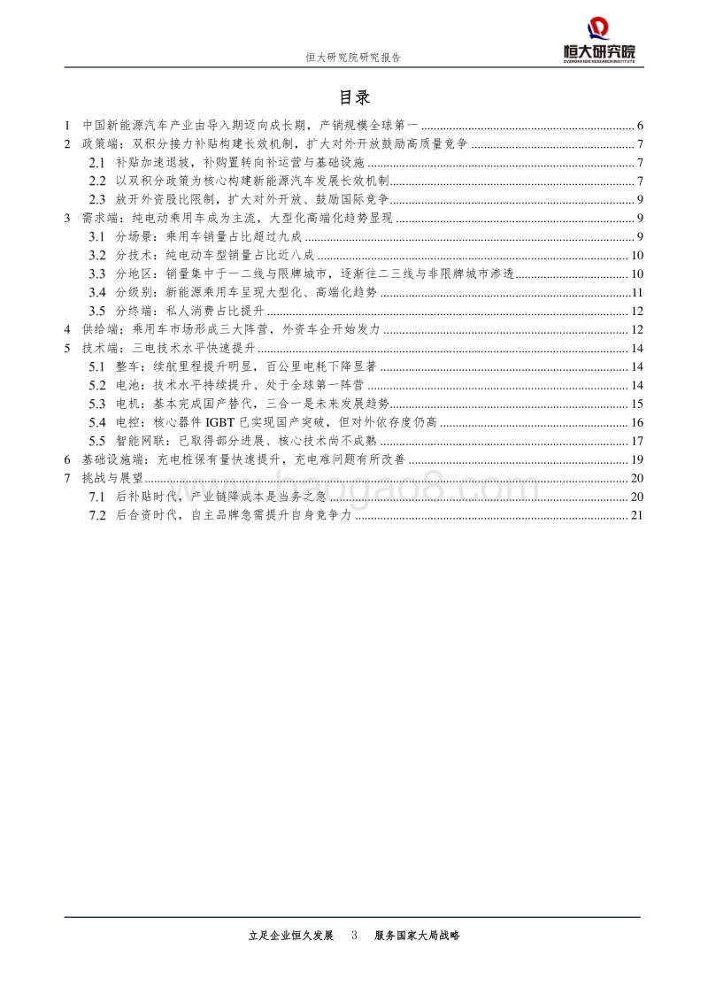 中国新能源汽车发展报告：2019.pdf_第3页