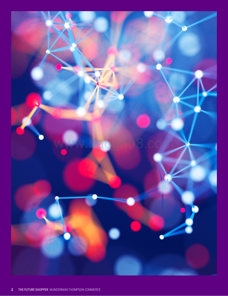2019年未来购物者报告.pdf_第2页