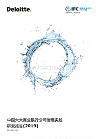 德勤——中国六大商业银行公司治理实践研究报告(2019).pdf