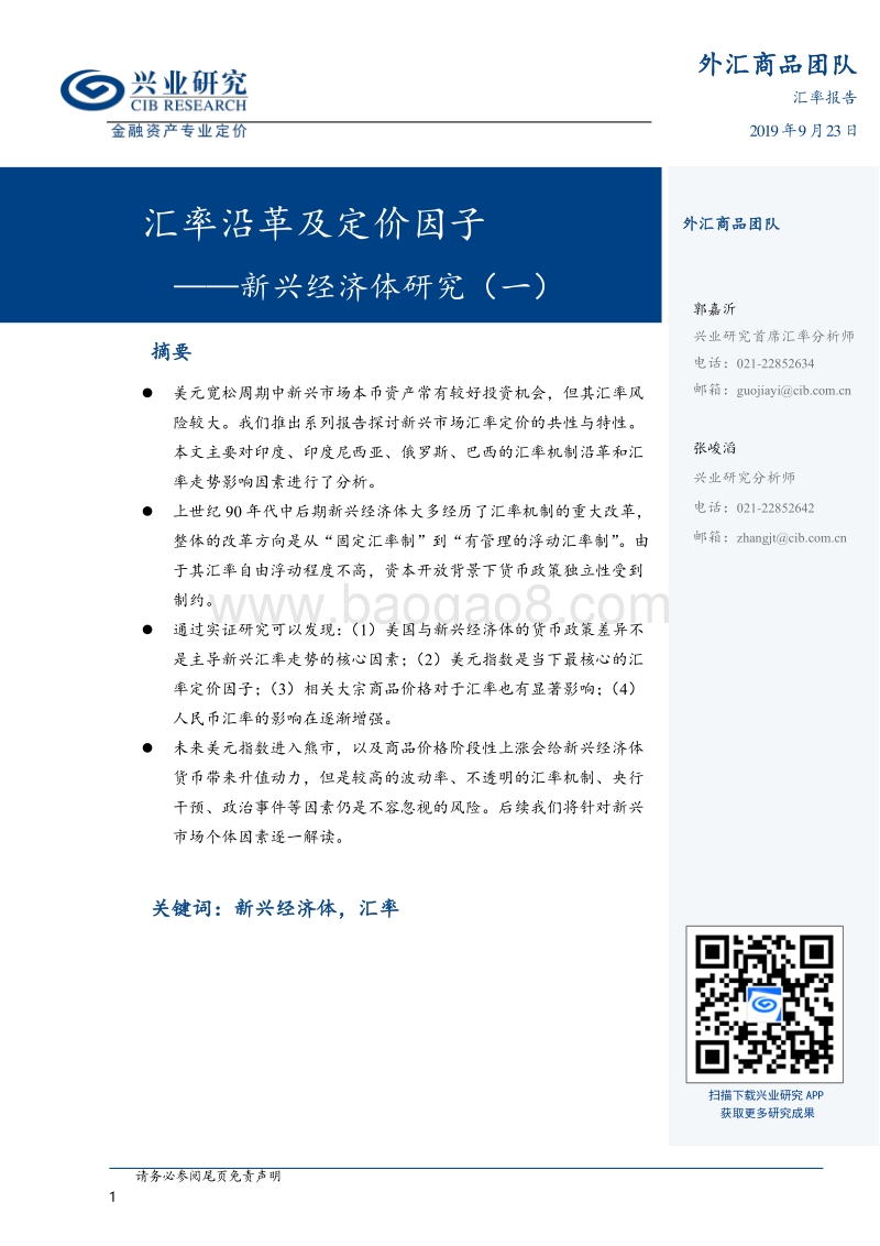 新兴经济体研究（一）：汇率沿革及定价因子.pdf_第1页