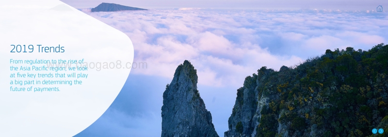 2019年旅游支付研究报告.pdf_第4页
