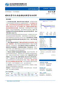 碳纳米管行业深度报告：碳纳米管行业：快速崛起的新型电池材料.pdf