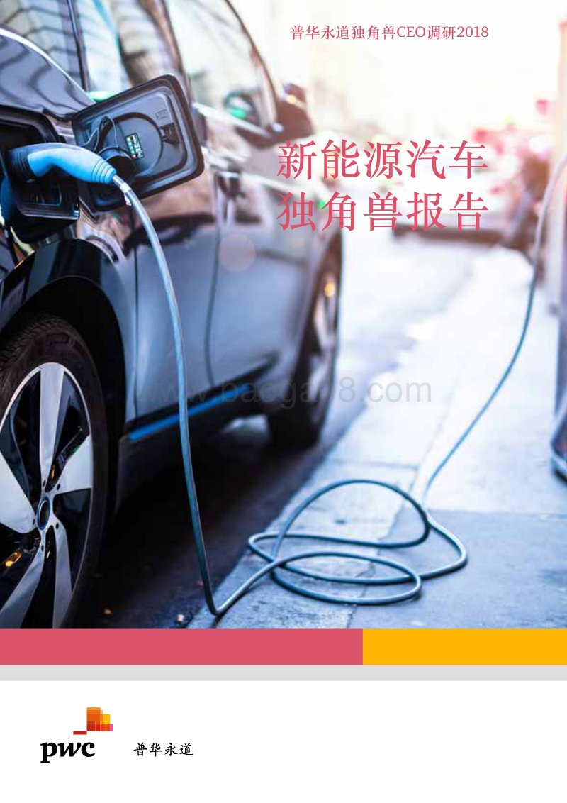 2018年新能源汽车独角兽报告.pdf_第1页