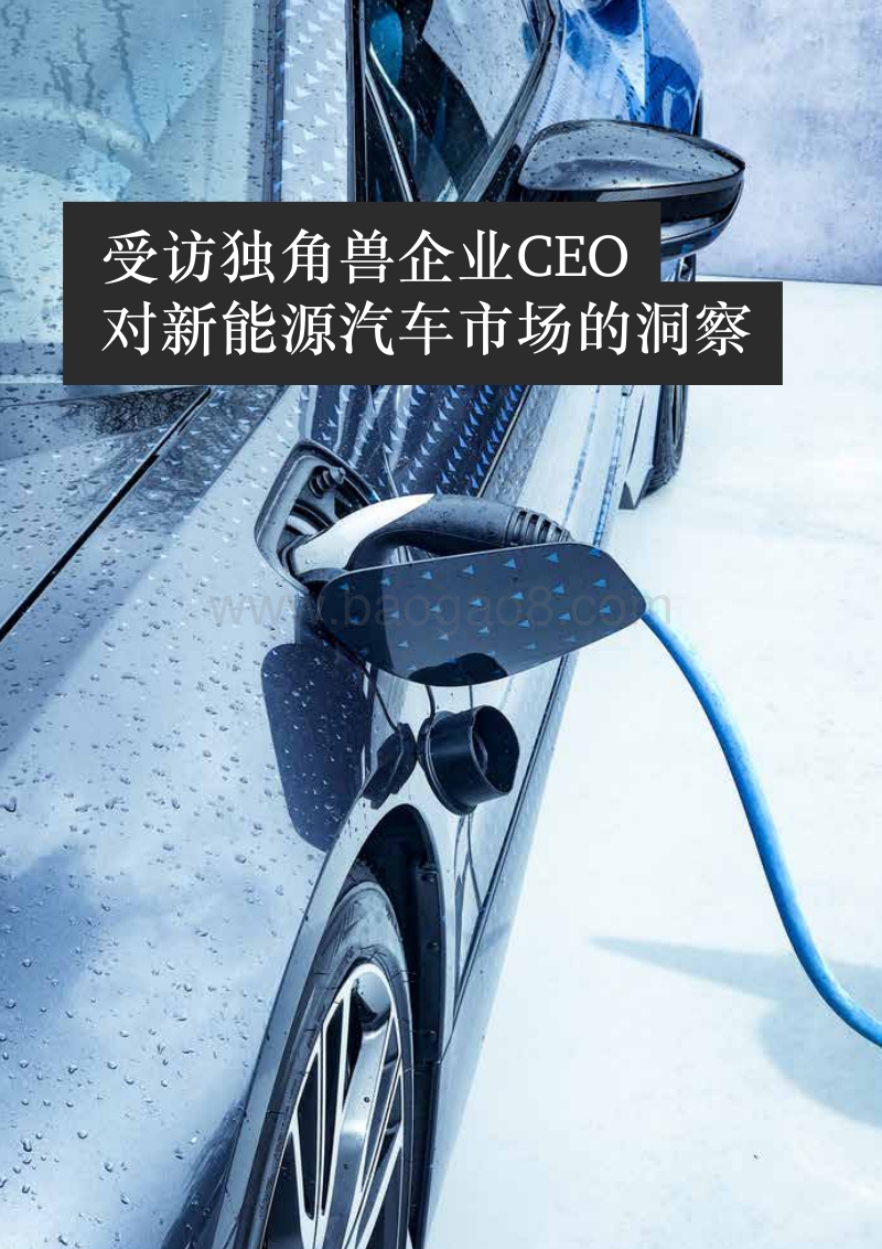 2018年新能源汽车独角兽报告.pdf_第4页