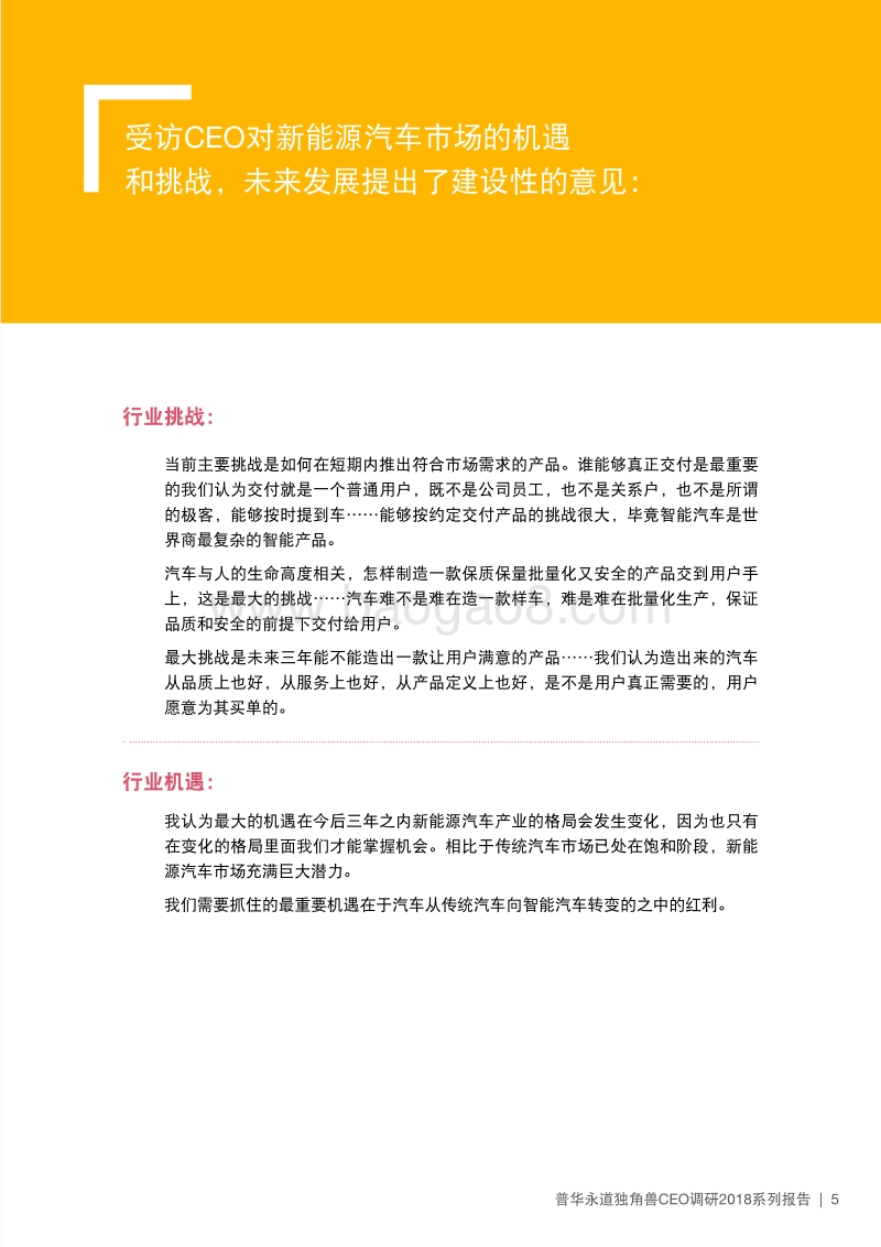 2018年新能源汽车独角兽报告.pdf_第5页