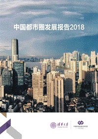 中国都市圈发展报告2018-113页.pdf
