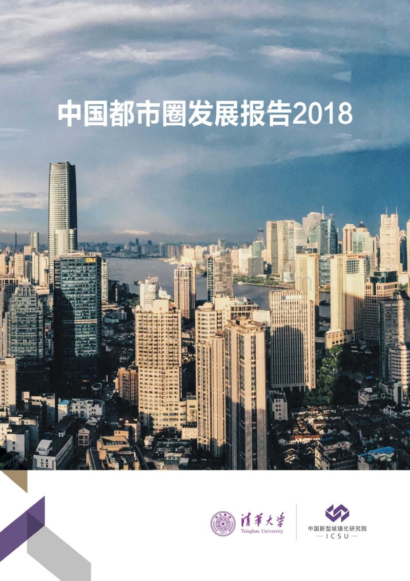 中国都市圈发展报告2018-113页.pdf_第1页