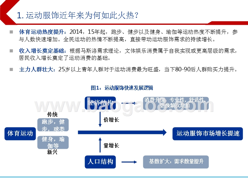 运动服饰行业深度报告之二：中国运动服饰的昨天、今天与明天.pptx_第5页