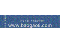 宏观债券中期报告：政策为纲，在不确定中前行.pptx