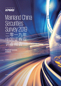 2019年中国证券业调查报告.pdf