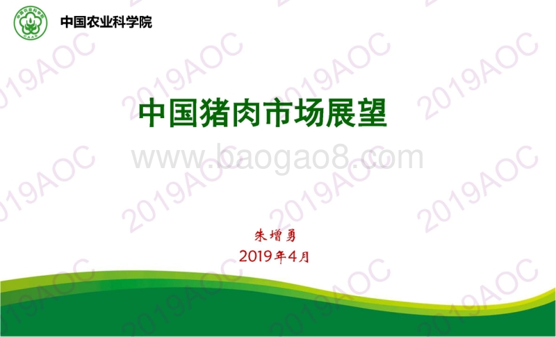 2019中国猪肉市场展望.pdf_第1页