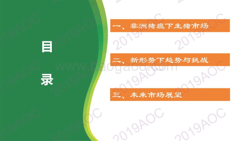 2019中国猪肉市场展望.pdf_第2页