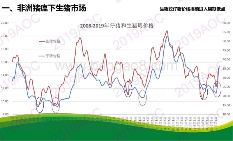 2019中国猪肉市场展望.pdf_第3页