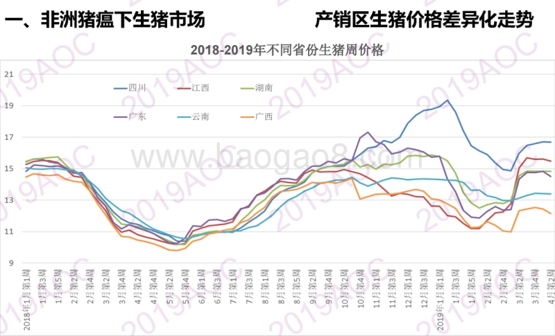 2019中国猪肉市场展望.pdf_第5页