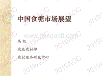 2019中国食糖市场展望.pdf