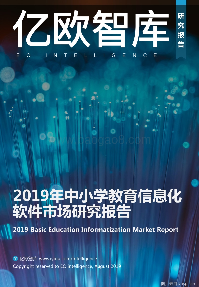 2019年中小学教育信息化软件市场研究报告.pdf_第1页