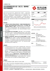 从北京网络安全大会（BCS）看网络安全发展趋势.pdf