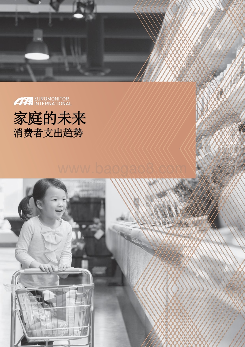 家庭的未来：消费者支出趋势.pdf_第1页