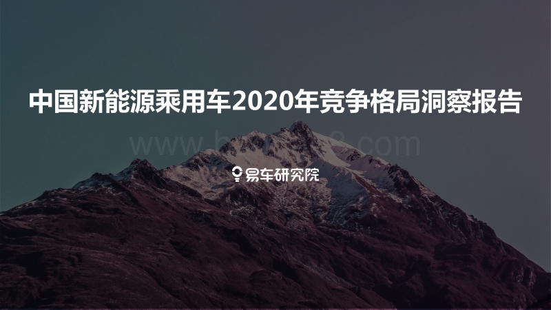 中国新能源乘用车2020年竞争格局洞察报告.pdf_第1页