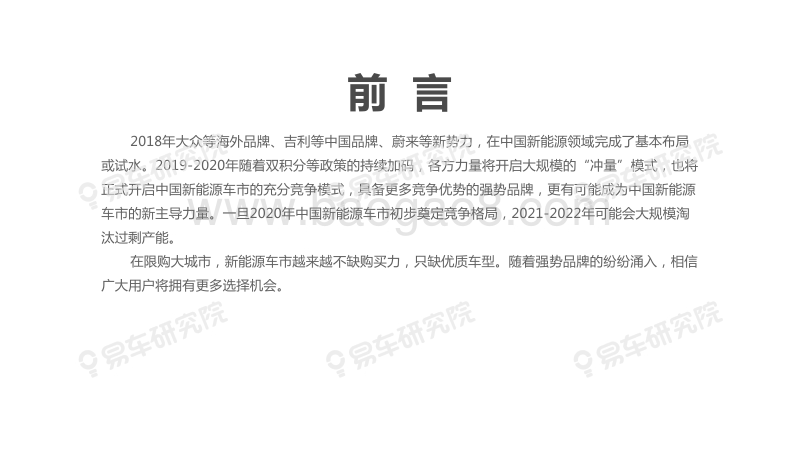 中国新能源乘用车2020年竞争格局洞察报告.pdf_第2页