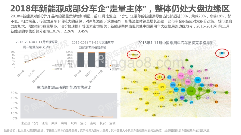 中国新能源乘用车2020年竞争格局洞察报告.pdf_第5页