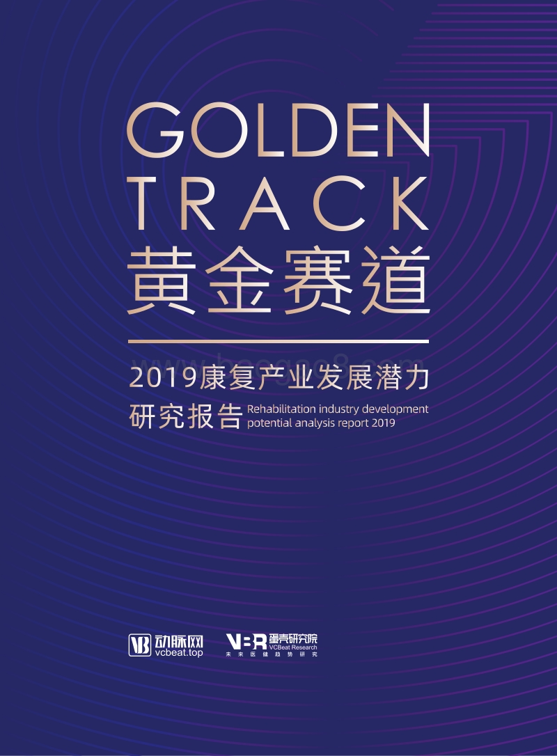 2019康复产业发展潜力研究报告.pdf_第1页