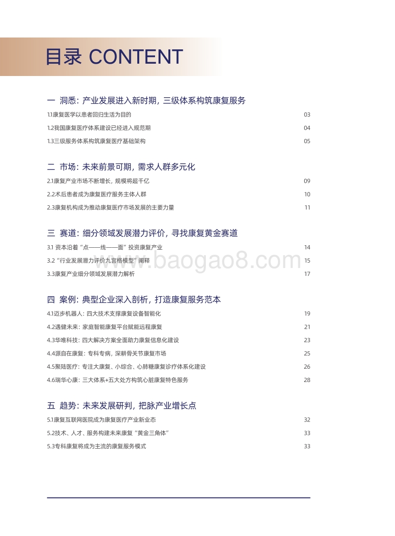 2019康复产业发展潜力研究报告.pdf_第3页