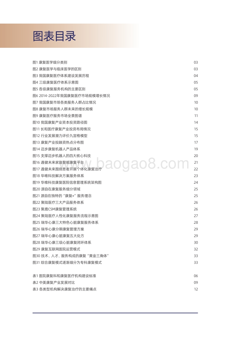 2019康复产业发展潜力研究报告.pdf_第4页