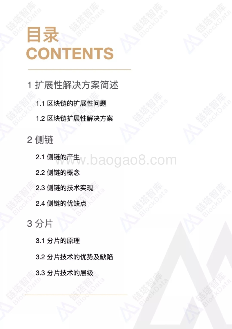 2019中国区块链产业年鉴：扩展性解决方案篇.pdf_第2页