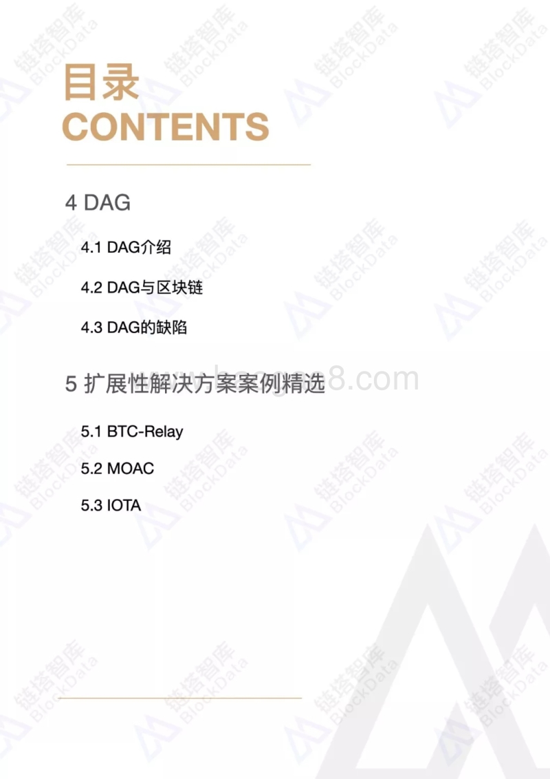 2019中国区块链产业年鉴：扩展性解决方案篇.pdf_第3页